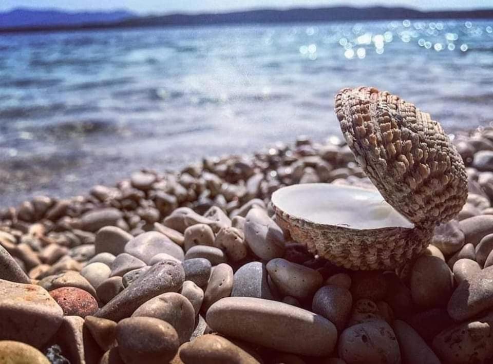 Apartmaji Soncek Izola Exterior foto